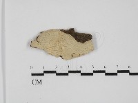 登錄號:F0031679藏品圖，第1張