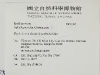登錄號:F0031680藏品圖，第2張
