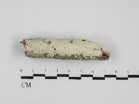 登錄號:F0031680藏品圖，第1張
