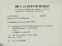 登錄號:F0031681藏品圖，第2張