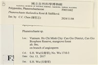 登錄號:F0031682藏品圖，第3張