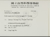 登錄號:F0031684藏品圖，第2張