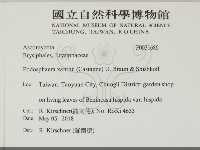 登錄號:F0031686藏品圖，第2張