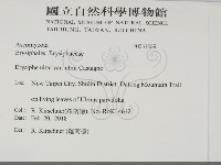 登錄號:F0031689藏品圖，第2張