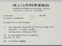登錄號:F0031690藏品圖，第2張