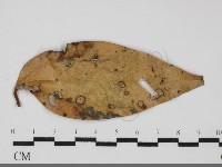 登錄號:F0031691藏品圖，第3張