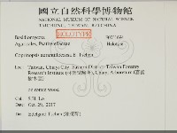 館號:F0031694藏品圖，第2張