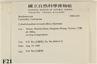 館號:F0031694藏品圖，第3張