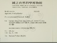 登錄號:F0031695藏品圖，第2張