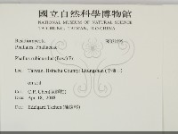 登錄號:F0031696藏品圖，第2張