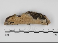 登錄號:F0031698藏品圖，第1張