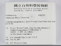 登錄號:F0031699藏品圖，第2張