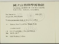 登錄號:F0031701藏品圖，第2張