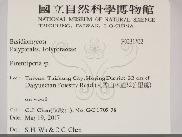 多年臥孔菌屬藏品圖，第2張