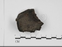 登錄號:F0031703藏品圖，第1張