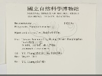 登錄號:F0031704藏品圖，第2張