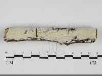 登錄號:F0031708藏品圖，第1張