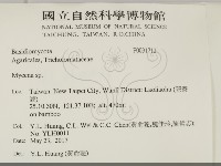小菇屬藏品圖，第2張