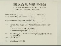 登錄號:F0031713藏品圖，第2張