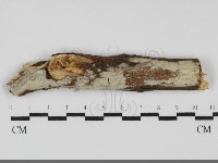 登錄號:F0031713藏品圖，第1張