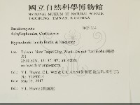 登錄號:F0031714藏品圖，第2張