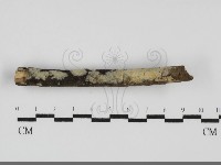 登錄號:F0031714藏品圖，第1張
