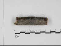 登錄號:F0031717藏品圖，第1張