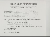 毛木耳藏品圖，第2張
