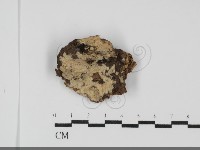 登錄號:F0031720藏品圖，第1張