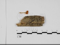 登錄號:F0031723藏品圖，第1張