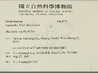 登錄號:F0031727藏品圖，第2張