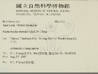 登錄號:F0031728藏品圖，第2張