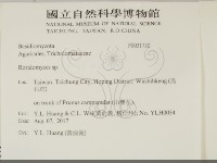 登錄號:F0031730藏品圖，第2張