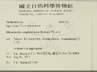 登錄號:F0031731藏品圖，第2張