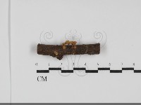 登錄號:F0031731藏品圖，第1張