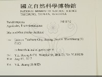 登錄號:F0031732藏品圖，第2張