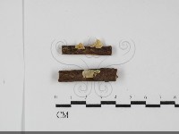 登錄號:F0031733藏品圖，第1張