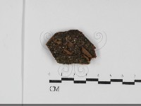 登錄號:F0031736藏品圖，第1張