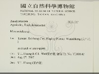微皮傘屬藏品圖，第2張