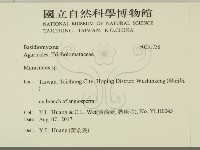 小皮傘屬藏品圖，第2張