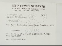 登錄號:F0031739藏品圖，第2張