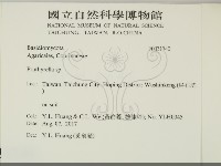 登錄號:F0031740藏品圖，第2張