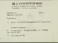 登錄號:F0031741藏品圖，第2張
