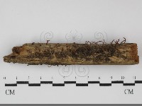 登錄號:F0031742藏品圖，第1張