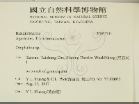 登錄號:F0031744藏品圖，第2張