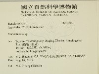 微皮傘屬藏品圖，第2張
