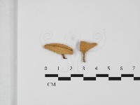 登錄號:F0031748藏品圖，第1張