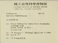 登錄號:F0031749藏品圖，第2張