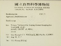 粉褶菌屬藏品圖，第2張
