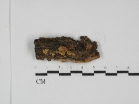 登錄號:F0031758藏品圖，第1張